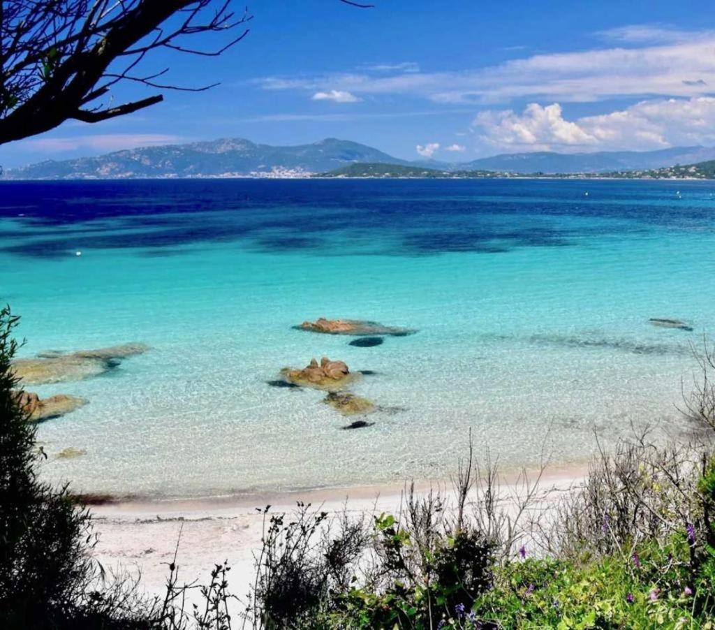 Nouveaute! Magnifique Villa A 2 Minutes Des Plus Belles Plages De La Rive Sud ปอร์ติชโช ภายนอก รูปภาพ